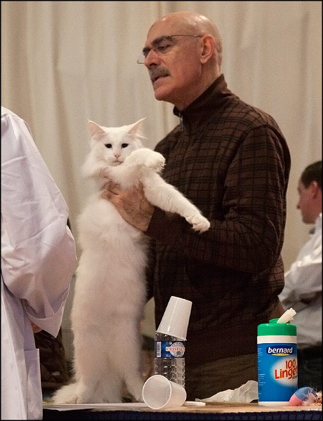 Wonderwoods Easy Rider 5.jpg - Wonderwoods Easy Rider